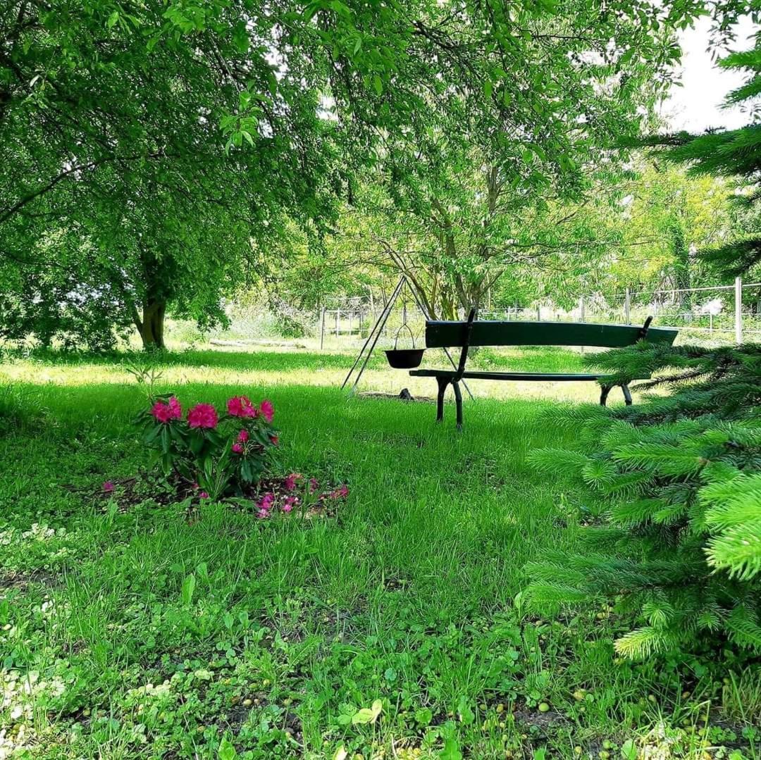 Axtburg Apartments Berbaltavar المظهر الخارجي الصورة