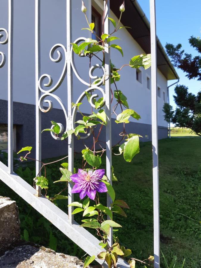 Axtburg Apartments Berbaltavar المظهر الخارجي الصورة